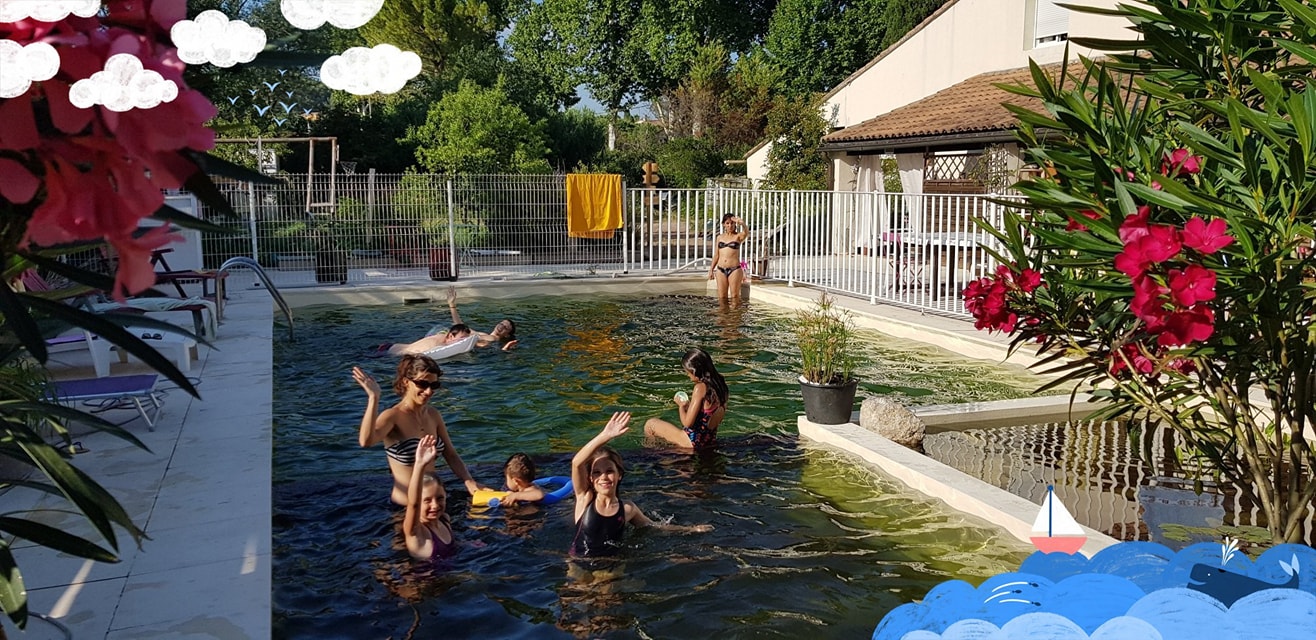 You are currently viewing Transformation d’une piscine en bassin naturel: le bilan